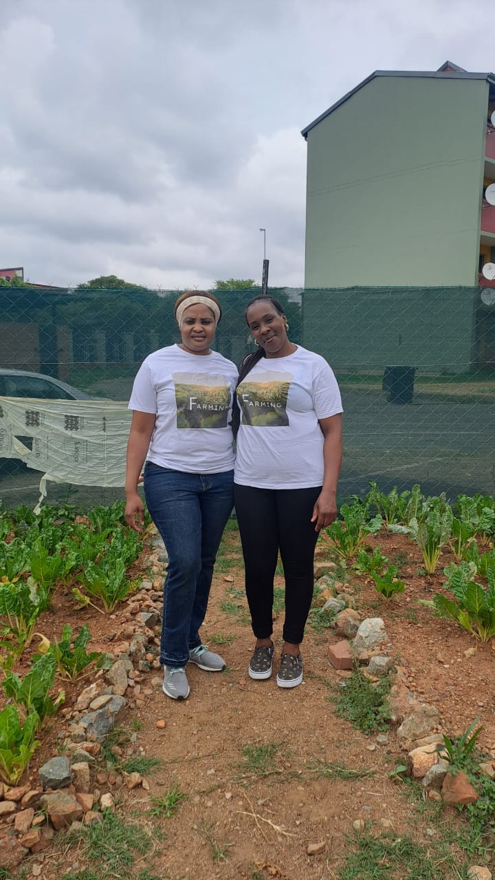 Women in farming – crop care