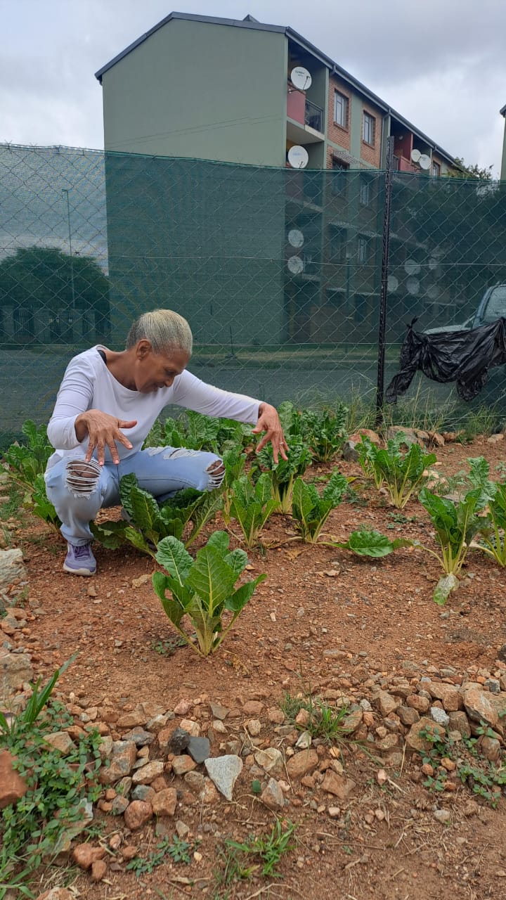 Women in farming – market day